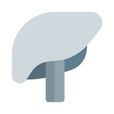 Karaciğer sadece omurgalılarda bulunan ve çeşitli metabolitleri detoks eden bir organdır.