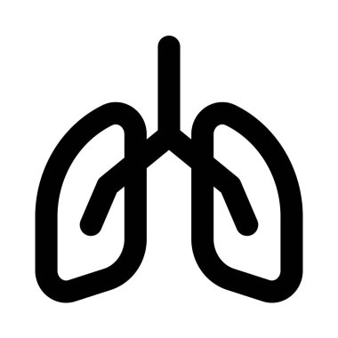 Akciğerler, göğsün her iki tarafında bulunan süngerimsi, hava dolu bir çift organdır (toraks)