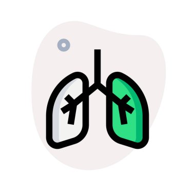 Akciğerler, göğsün her iki tarafında bulunan süngerimsi, hava dolu bir çift organdır (toraks)