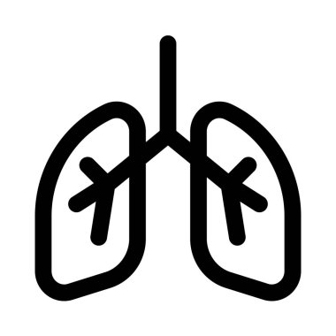 Akciğerler, göğsün her iki tarafında bulunan süngerimsi, hava dolu bir çift organdır (toraks)