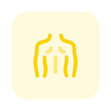 İnsan vücudunun büyük arka kısmı.