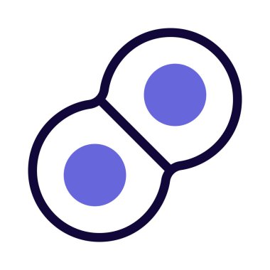 Mitoz çoğaltılan kromozomların hücre döngüsünün bir parçasıdır.