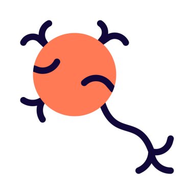 Nöronlar sinir sistemindeki diğer sinir hücrelerine bilgi aktaran hücrelerdir.