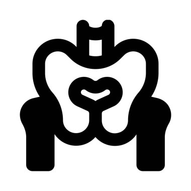 Pelvis ayrıca insan anatomisinde kemikli leğen kemiği veya leğen kemiği kemeri olarak da bilinir.,