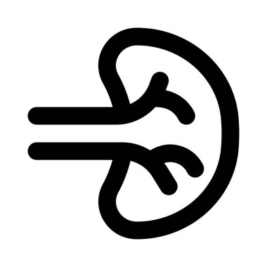 Dalak vücutta birden fazla destek rolü oynar