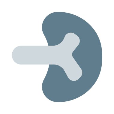 Dalak vücutta birden fazla destek rolü oynar