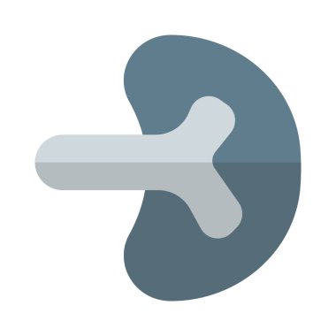 Dalak vücutta birden fazla destek rolü oynar