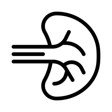 Dalak vücutta birden fazla destek rolü oynar