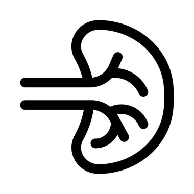 Dalak vücutta birden fazla destek rolü oynar