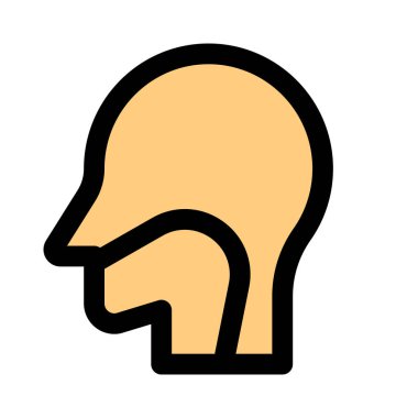 Boğazı boynun ön tarafında, omurganın önüne yerleştirilmiş.