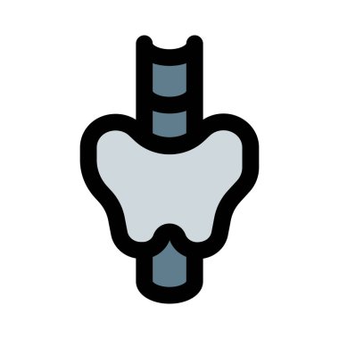 Tiroid, boynun ön tarafında yer alan kelebek şeklinde bir bezdir..