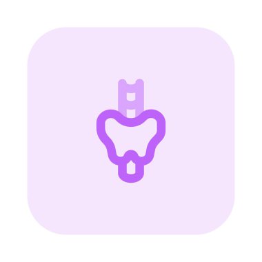 Tiroid, boynun ön tarafında yer alan kelebek şeklinde bir bezdir..