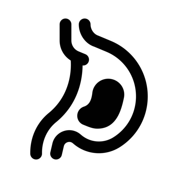 Food reaches enters the stomach through a muscular valve