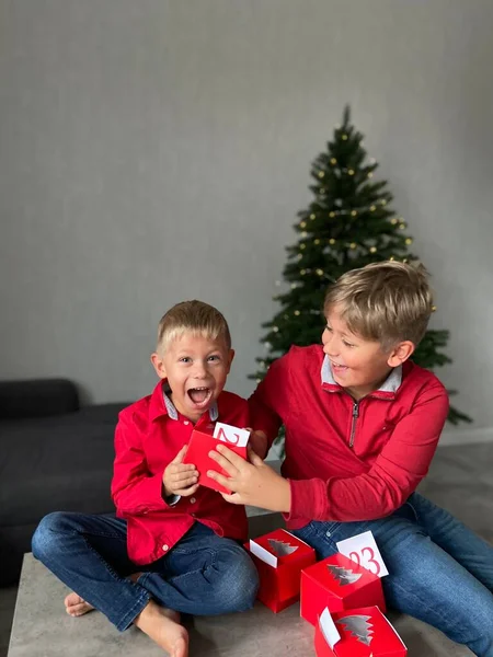 Two Brothers Christmas Background Christmas Tree — Stock Photo, Image