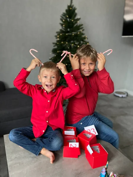 Δύο Αδέλφια Χριστούγεννα Φόντο Χριστουγεννιάτικο Δέντρο — Φωτογραφία Αρχείου