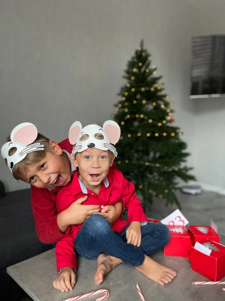 Két Testvér Karácsony Háttér Karácsonyfa — Stock Fotó