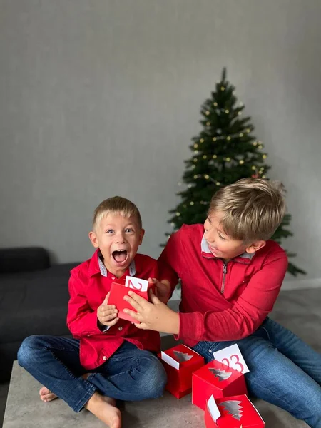 Twee Broers Kerst Achtergrond Met Kerstboom — Stockfoto