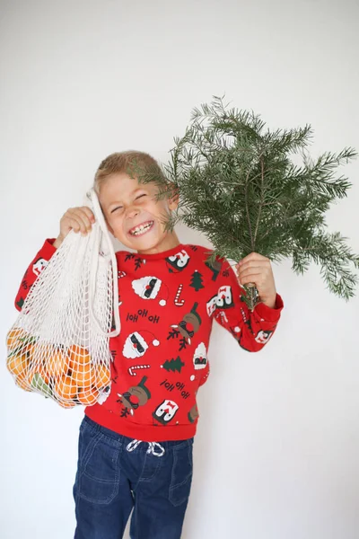 Chico Gracioso Nochebuena Concepto Vacaciones Navidad — Foto de Stock