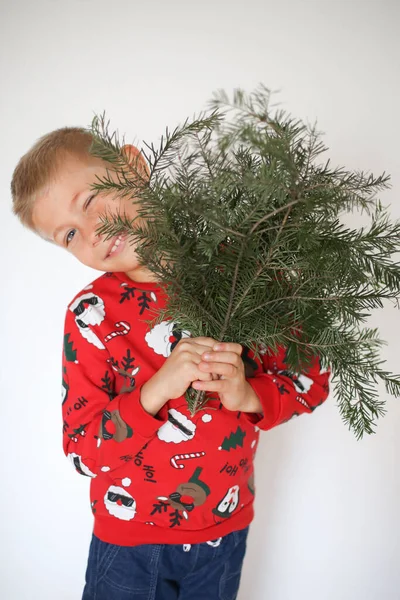 Aranyos Kisfiú Karácsonyi Pulóverben Kezében Lucfenyő Ággal — Stock Fotó