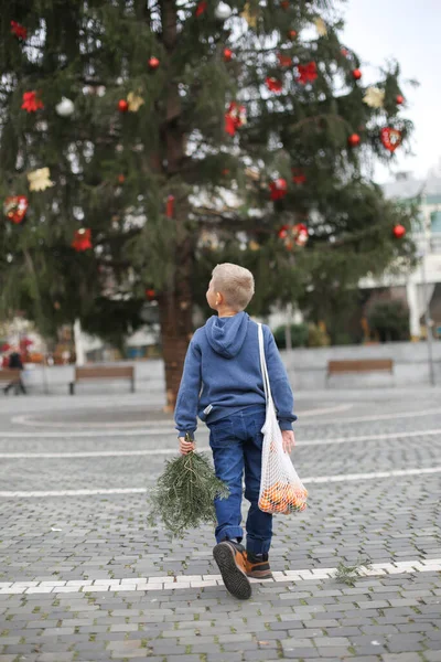 Cute Little Boy Christmas Sweater Holding Spruce Branch Hand — Stock Photo, Image