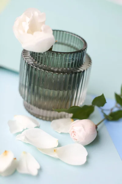 Delicate White Roses Small Glass Vases — Stock Photo, Image