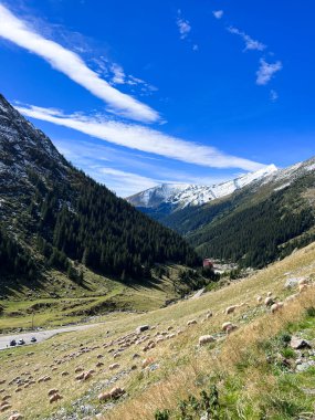 Yağmurlu ve bulutlu bir günde Transalpina 'nın güzel manzarası 