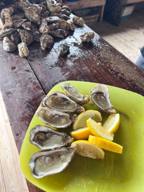 Taze istiridye ve istiridye, limon. Sağlıklı deniz ürünleri.