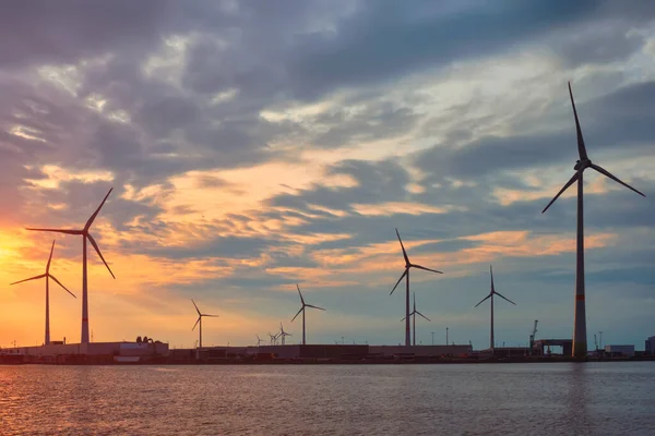 Turbinas Eólicas Generadores Electricidad Puerto Amberes Atardecer Amberes Bélgica — Foto de Stock