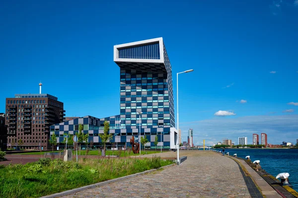 Rotterdam Holandia Maja 2017 Budynek Instytutu Mainport Rotterdam Znany Oryginalnego — Zdjęcie stockowe