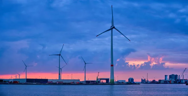 Panorama Aerogeneradores Generadores Energía Eléctrica Puerto Amberes Por Noche Amberes — Foto de Stock