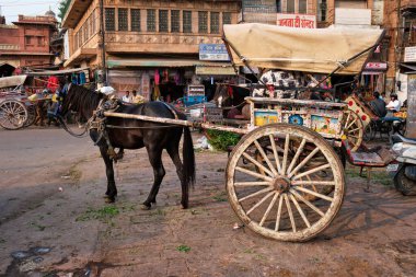 Jodhpur, Hindistan - 14 Kasım 2019: Jodhpur caddesindeki at arabası taksi olarak kullanıldı. Jodhpur, Rajasthan, Hindistan