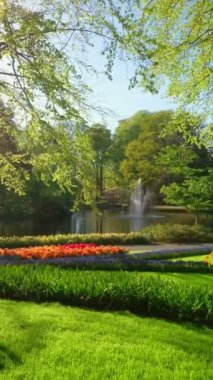Keukenhof çiçek Bahçe çiçek açan Lale çiçek ile. Bir dünyanın en büyük çiçek bahçeleri. Lisse, Hollanda.