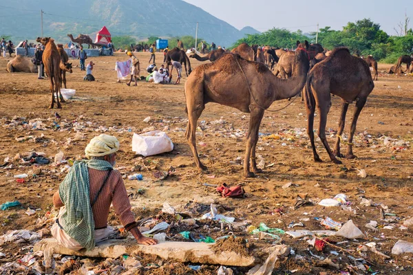 Pushkar Indien November 2012 Indischer Mann Sitzt Zwischen Müll Und — Stockfoto