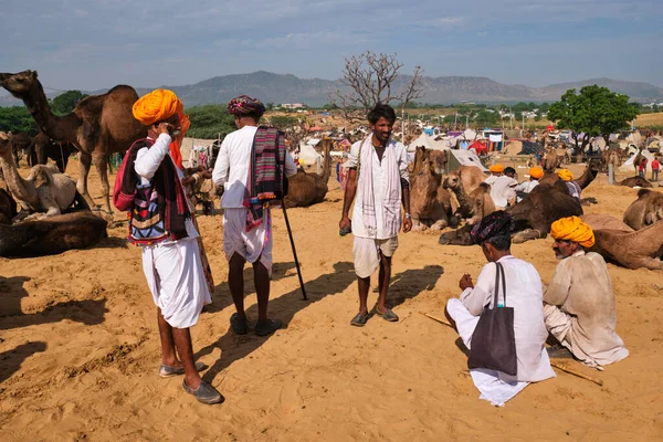 Pushkar Indie Listopadu 2019 Indičtí Muži Velbloudi Veletrhu Pushkar Velbloudů — Stock fotografie