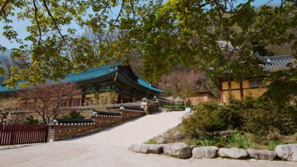 Sinheungsa Buddyjski Świątyni Parku Narodowego Seoraksan Seoraksan Korea Południowa — Wideo stockowe