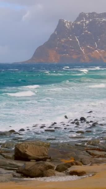 Mar Noruega Playa Rocosa Utakliev Las Islas Lofoten Noruega — Vídeo de stock