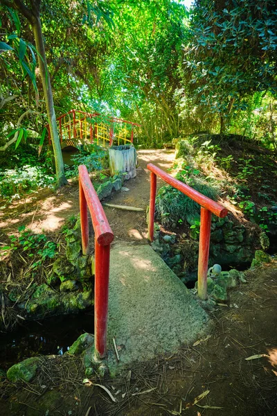 葡萄牙里斯本热带植物园亚洲部分绿树成荫的红色中国风格桥梁 — 图库照片