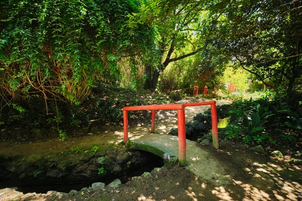Puente Rojo Estilo Chino Con Barandillas Madera Exuberante Vegetación Parte — Foto de Stock