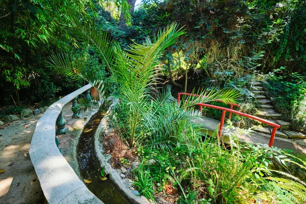 Lizbon Portekiz Deki Tropik Botanik Bahçesinin Verimli Yeşilliğinde Ahşap Korkuluklu — Stok fotoğraf