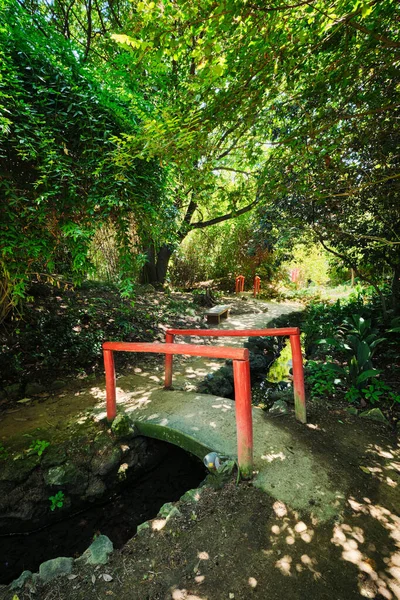葡萄牙里斯本热带植物园亚洲部分绿树成荫的红色中国风格桥梁 — 图库照片