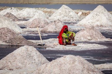 SAMBHAR, INDIA - NOVEMBER 19, 2012: Woman mining salt at lake Sambhar, Rajasthan, India. Sambhar Salt Lake is Indias largest inland salt lake clipart