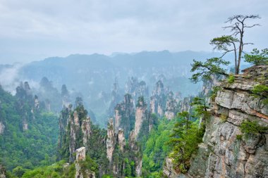 Çin 'in ünlü turistik merkezi - Zhangjiajie taş sütunları Wulingyuan, Hunan, Çin' deki sis bulutları içinde uçurum tepeleri