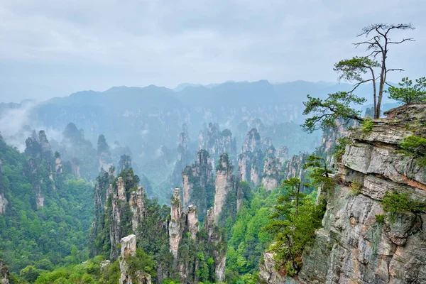 Famous Tourist Attraction China Zhangjiajie Stone Pillars Cliff Mountains Fog — Stock Photo, Image