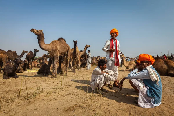 プシュカル インド 2012年11月20日 プシュカルラクダフェアで伝統的なターバンとラクダのインド人男性プシュカル メラ毎年恒例のラクダの家畜フェア世界最大のラクダフェアと観光名所の一つ — ストック写真