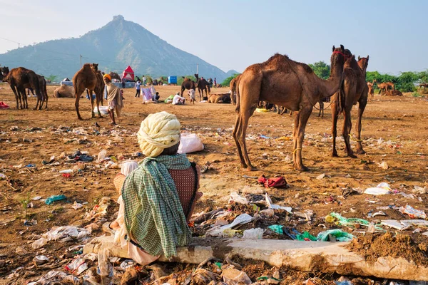 Pushkar India November 2012 Indian Man Sitting Trash Garbage Camels — Stock Photo, Image