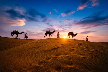 Gün batımında Thar Çölü 'nün kum tepelerindeki deve siluetleriyle Hintli kambur (deve sürücüsü). Rajasthan 'daki karavan turizm arka planında safari macerası. Jaisalmer, Rajasthan, Hindistan