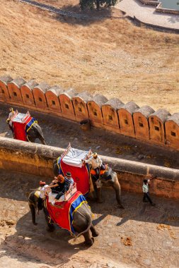 AMER, Hindistan - 18 Kasım 2012: Amer (Amber) kalesine çıkan fillere binen turistler, Hindistan. Amer Kalesi ünlü bir turistik yerdir.