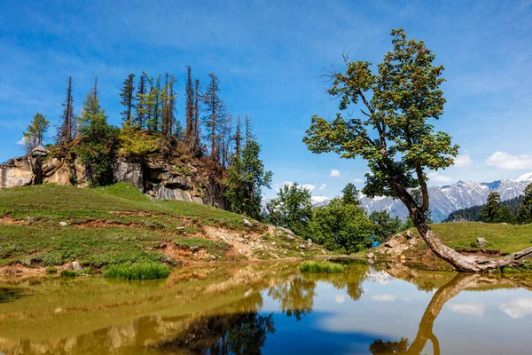Scenic Indian Himalayan Landscape Scenery Himalayas Tree Small Lake Himachal — Stock Photo, Image