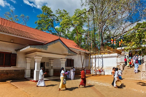 Anuradhapura Sri Lanka 2009年9月26日 スリランカのマハ菩提樹の聖地を訪れる巡礼者 釈迦が悟りを開いた菩提樹の枝のように成長した — ストック写真