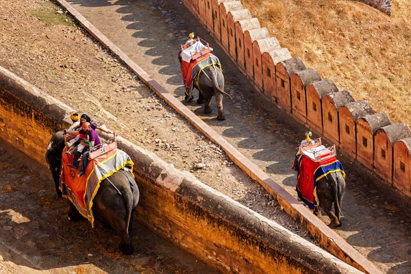 Amer India November 2012 Tourists Riding Elephant Ascend Amer Amber — 图库照片